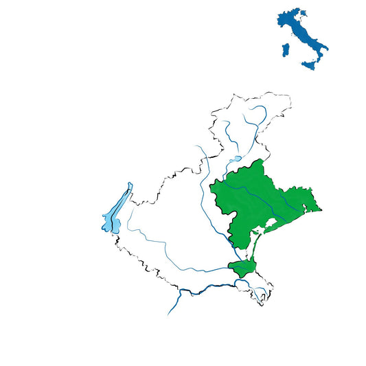 Venezia DOC: il vino versatile della laguna