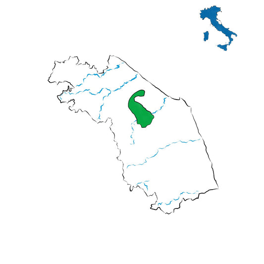 Verdicchio dei Castelli di Jesi DOC: il bianco simbolo delle Marche