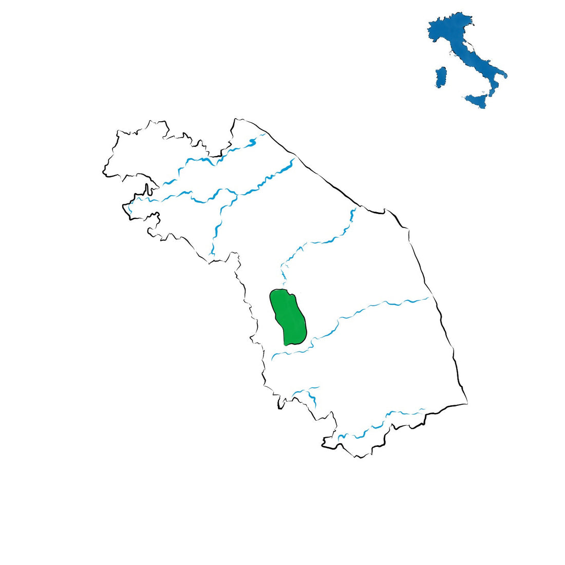 Verdicchio di Matelica DOC: il bianco minerale delle Marche