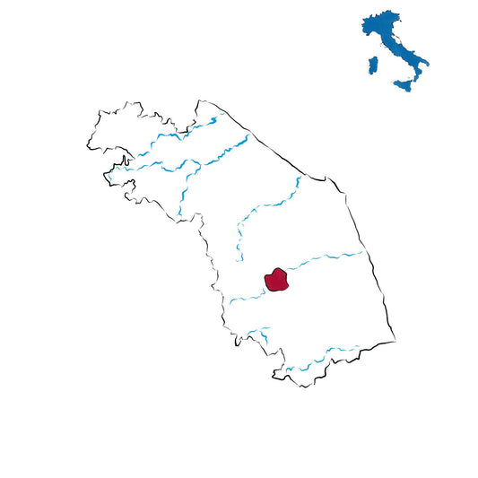 Vernaccia di Serrapetrona DOCG: la spumeggiante anima marchigiana