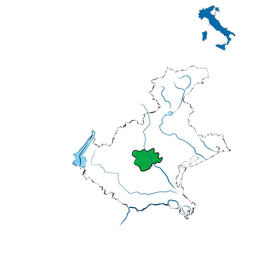 Vicenza DOC: vini tra collina e pianura