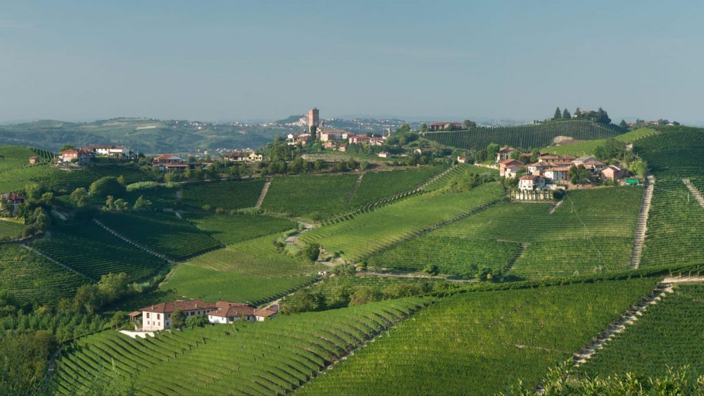 Le MGA del Barbaresco DOCG: i cru che raccontano l’eleganza del Nebbiolo