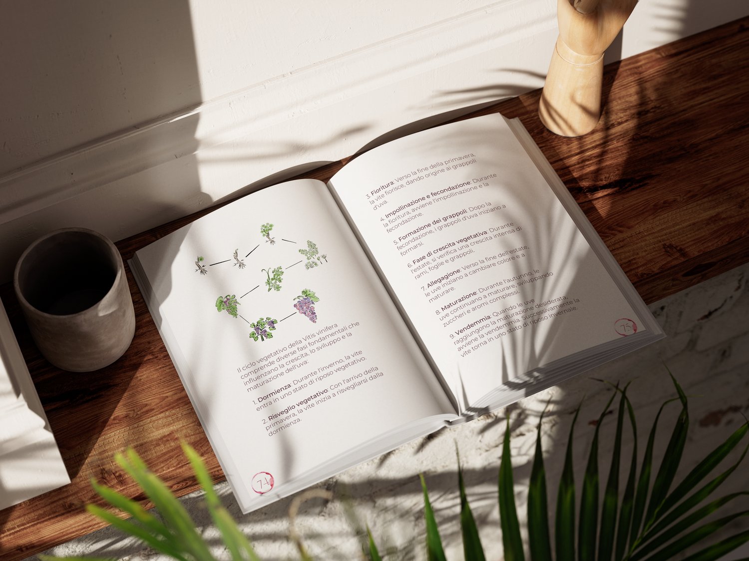 Libri e didattica